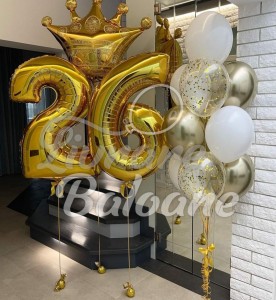 Baloane cu Heliu (LB-12028)