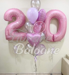 Baloane cu Heliu (LB-12029)