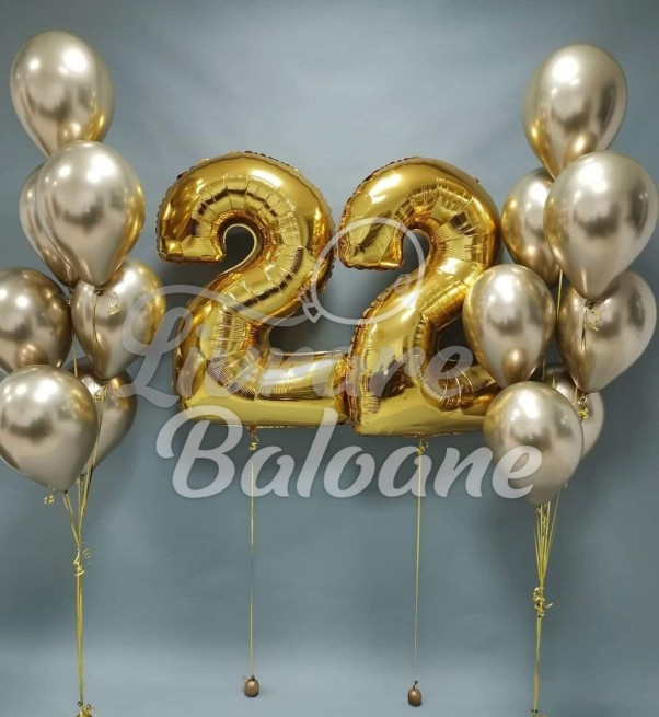 Baloane cu Heliu (LB-12030)