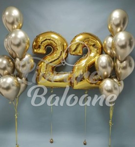Baloane cu Heliu (LB-12030)