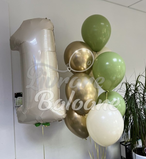Set Baloane cu Heliu (LB-13064)