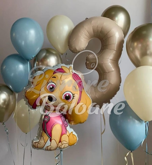Set Baloane cu Heliu (LB-13066)