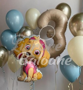 Set Baloane cu Heliu (LB-13066)
