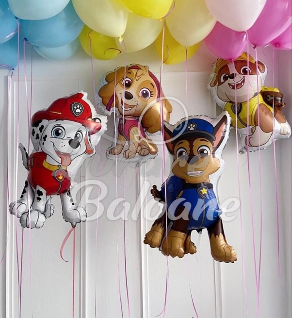 Set Paw Patrol (LB-13067)