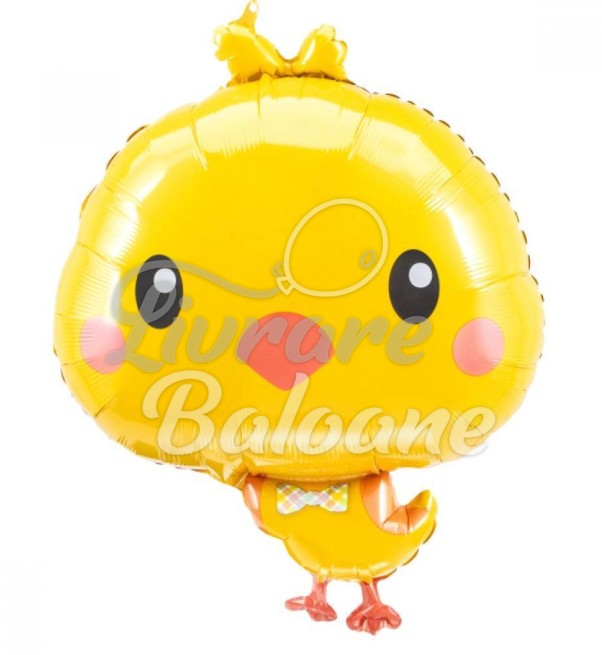 Balon cu Heliu-Chicky