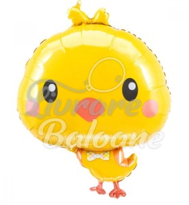 Balon cu Heliu-Chicky